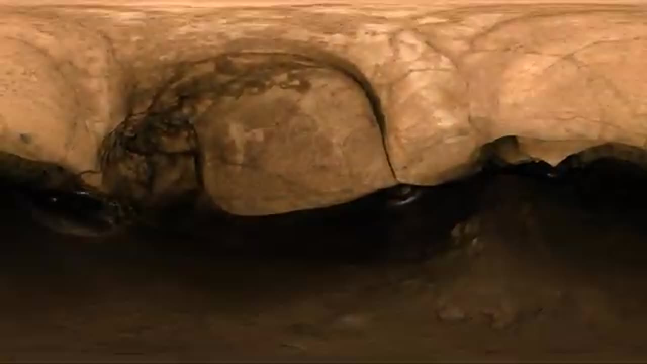 Devilstep Hollow Cave in Sequatchie Valley TN