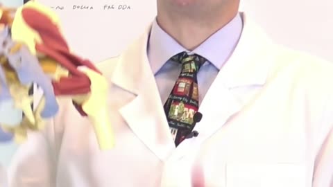 Mal di Schiena Portafoglio, Tacchi e Pancera o Vestiti Stretti