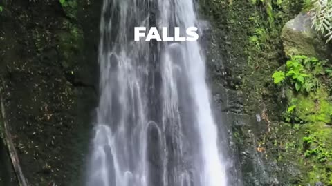 Guam Island Travel Guide: Best Places to Visit In 2026