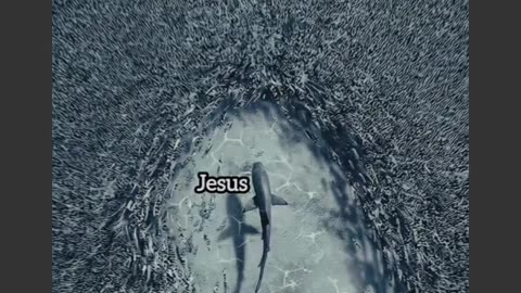 || Jesus is with you||