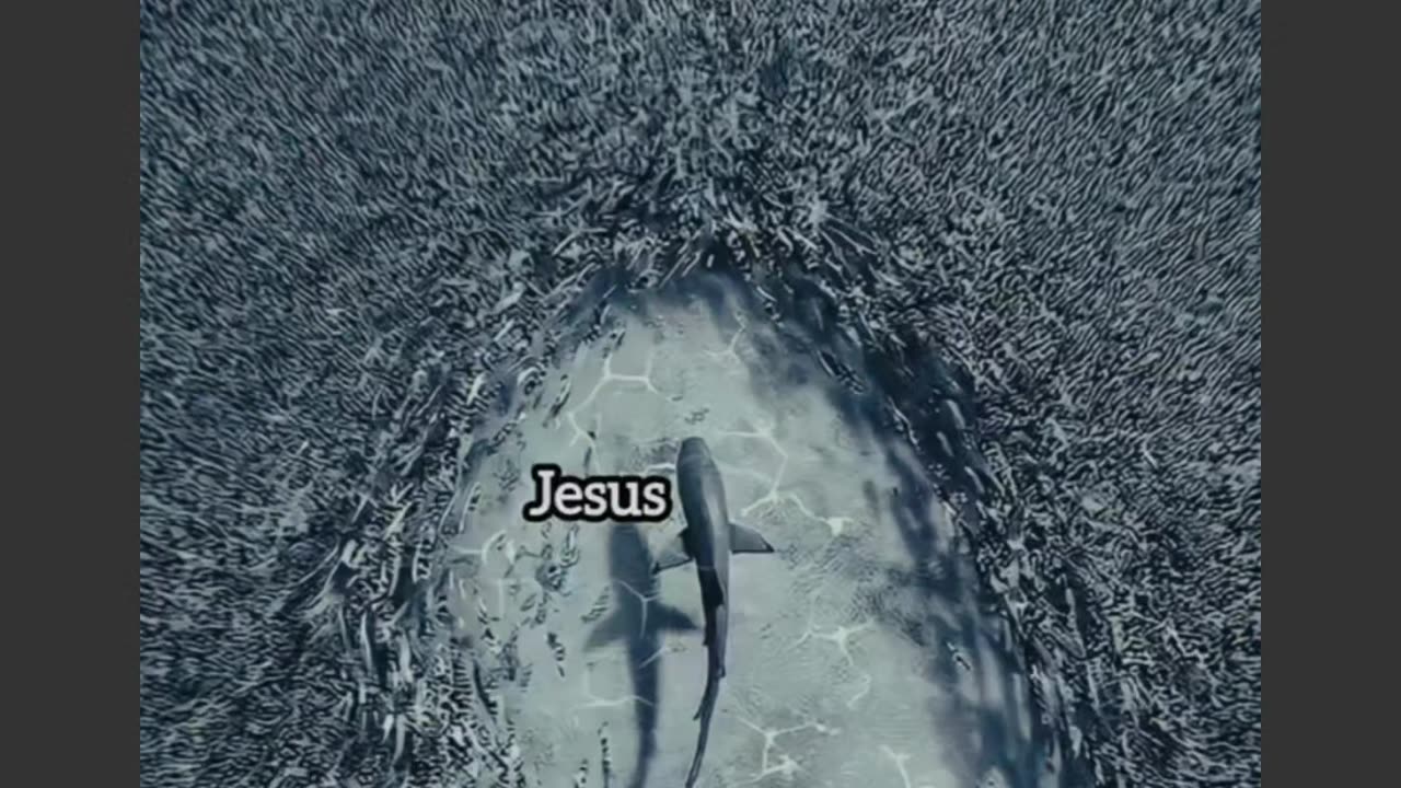 || Jesus is with you||
