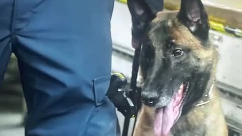 Cleaning Up Narco Cartels (See Description for details on seized Oil Tanker)