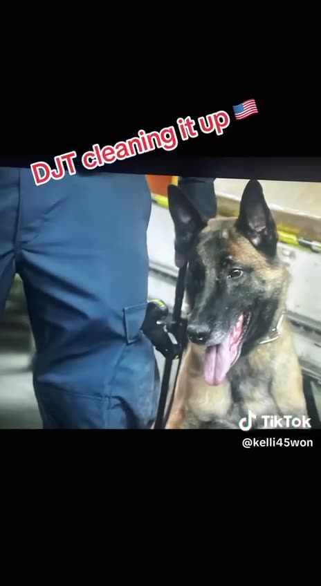 Cleaning Up Narco Cartels (See Description for details on seized Oil Tanker)