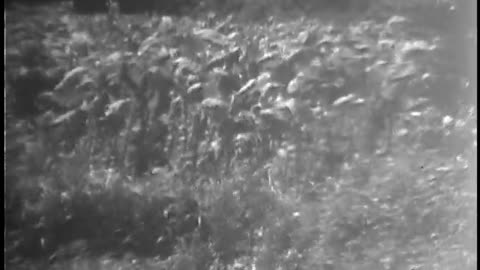 Film No. 568 - Film No. 568 - gov.archives.li.260.uscar.568