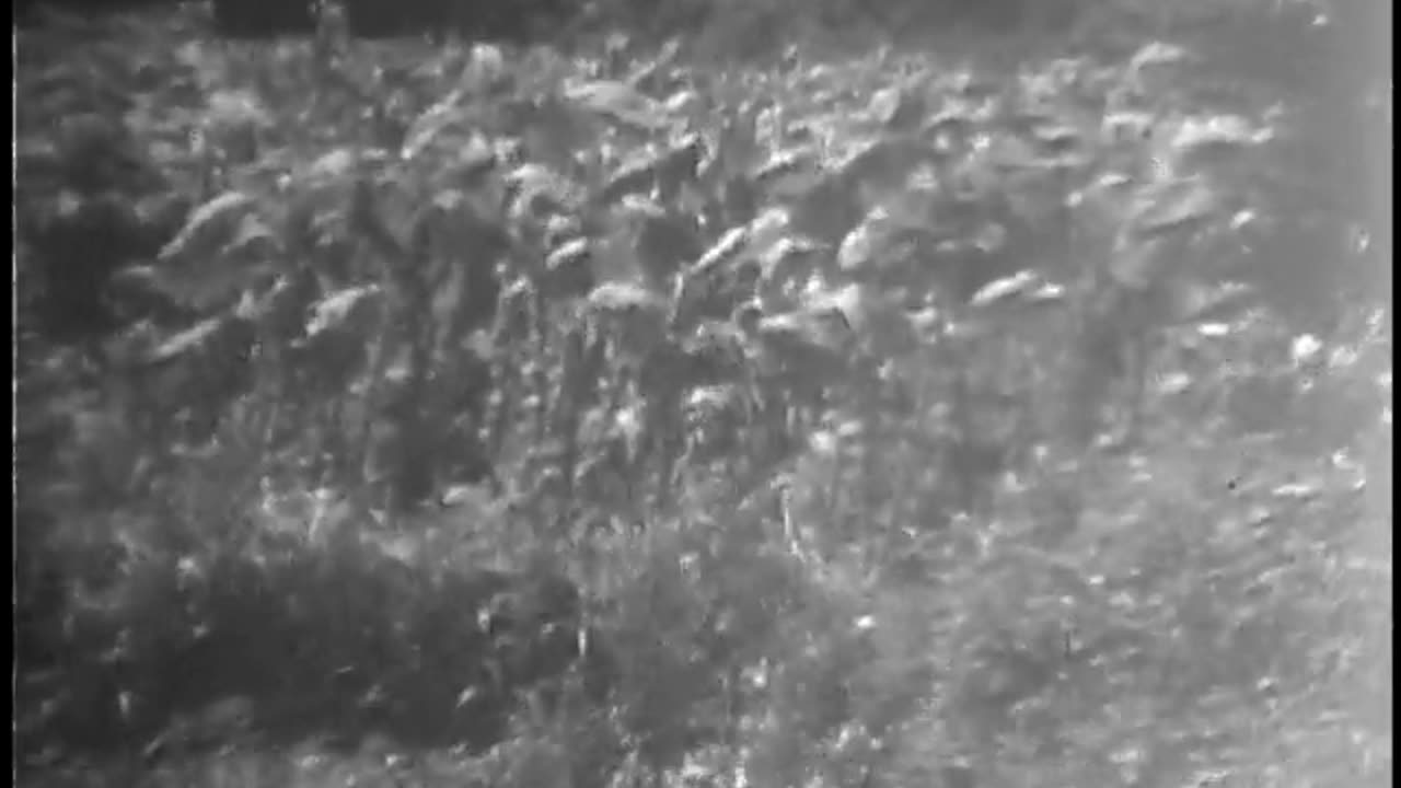 Film No. 568 - Film No. 568 - gov.archives.li.260.uscar.568