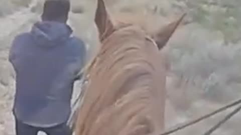 Texas DPS Agents Apprehend Previously Deported Illegal Convicted of Child Molestation