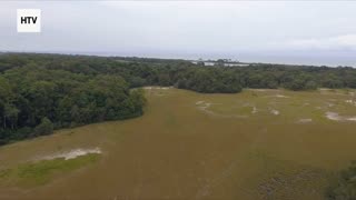 Elephant & African Wildlife #13 – Majestic Giants of Gabon