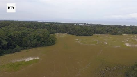 Elephant & African Wildlife #13 – Majestic Giants of Gabon