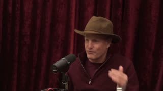 WOODY HARRELSON: I was talking about profiteering in the [SNL] monologue