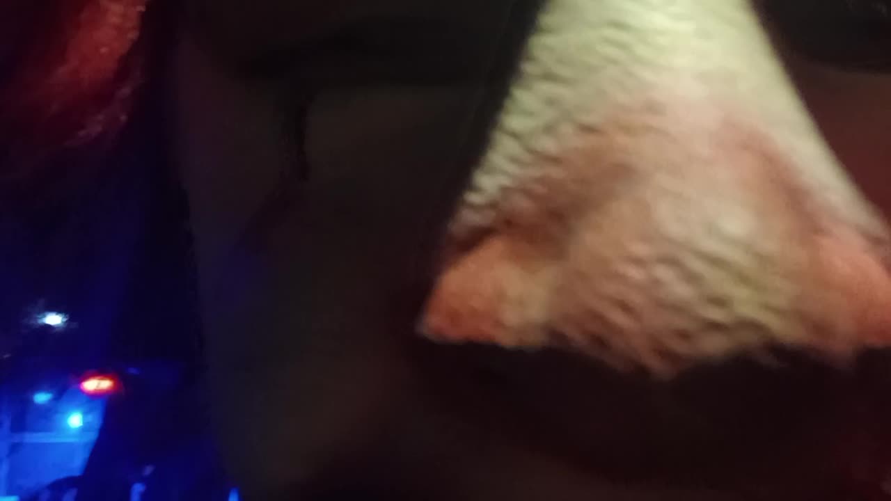 🤡 FALSE ADVERTISING from the DAYGLO ABORTIONS 🤡 #fakenews