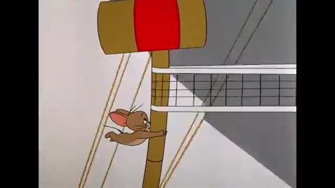 Tom and Jerry | funny video | cartoon for more fun