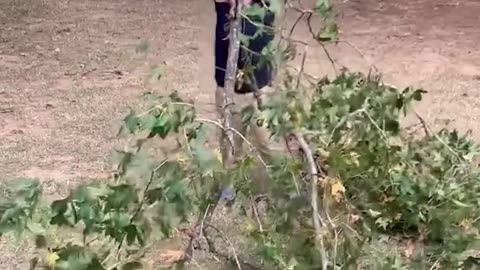 Hilarious Funny Almost😆💖 | Epic Fails & Close Calls 😂😍 | Must Watch Funny Moments 2025