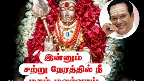 ONE SUN ONE TMS LEGEND M.THIRAVIDA SELVAN SINGAPORE 2025