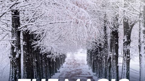 🌿💛🎆 Happy New Year 2026 From MODEXUS 🎆💛🌿