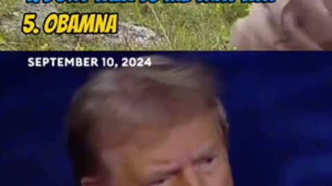 Funny DJT moments!