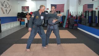 Reversing Mace - Principles, Theories, Rules, Concepts, Ideas, and Strategies