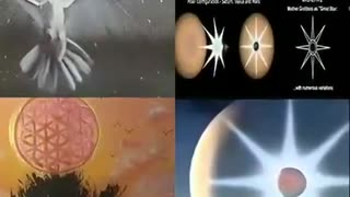 369