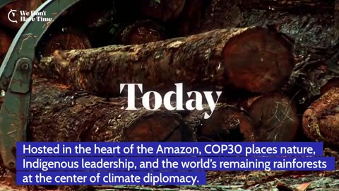 COP30: The “Forest COP” Aims to Turn Climate Promises Into Action