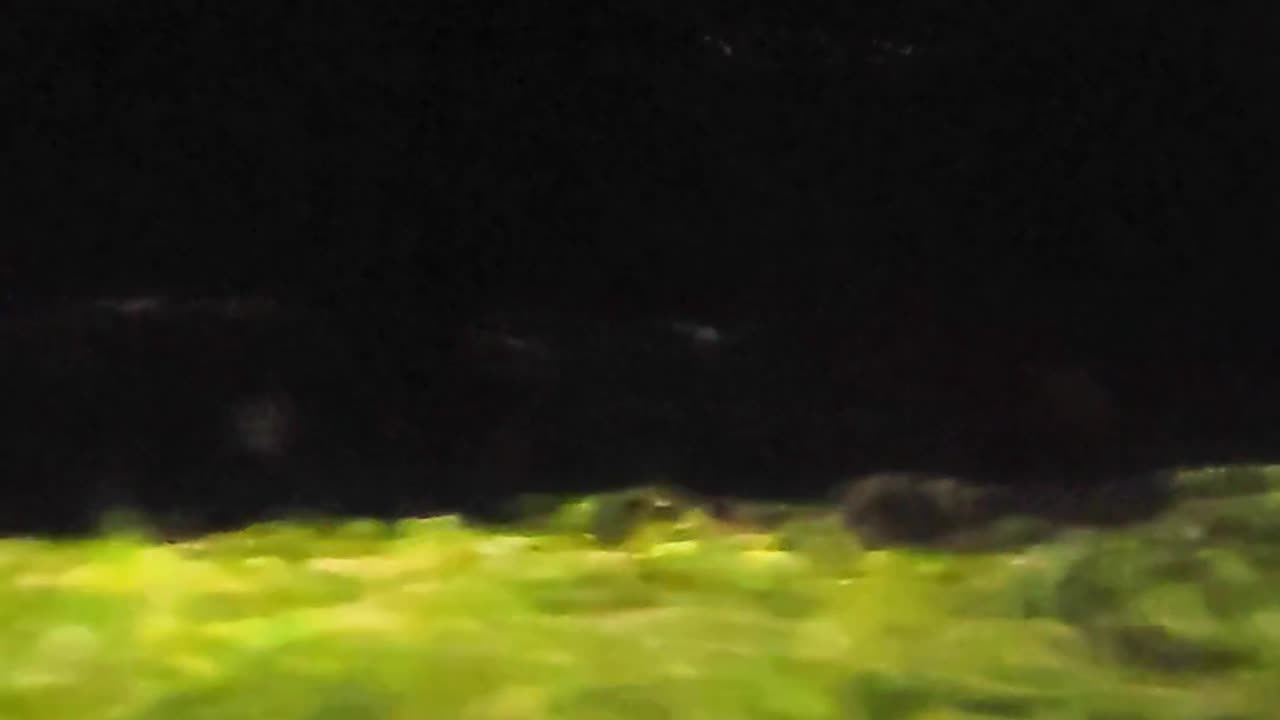 👁️🛸 Bizarre Objects Spotted from Alaskan Cruise! | TheTruthAbove