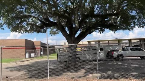 Franklin Talez (Intro)