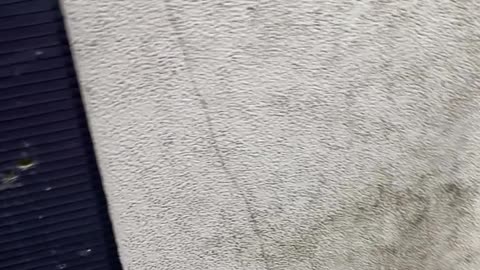 My Airbnb Elevator in Egypt