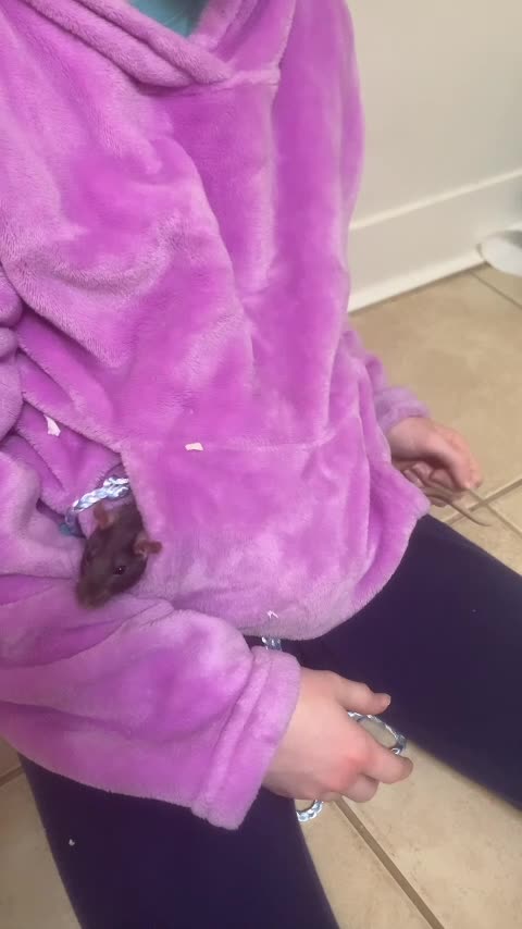 Goofy Wednesday looks longer in my pocket