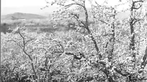 JOURNEYS THROUGH `THE VALLEY OF EA... - JOURNEYS THROUGH `THE VALLEY OF EARTHS DELIGHT' - fc-fc-2437