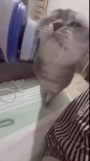 Never pass up on a free massage 🤣