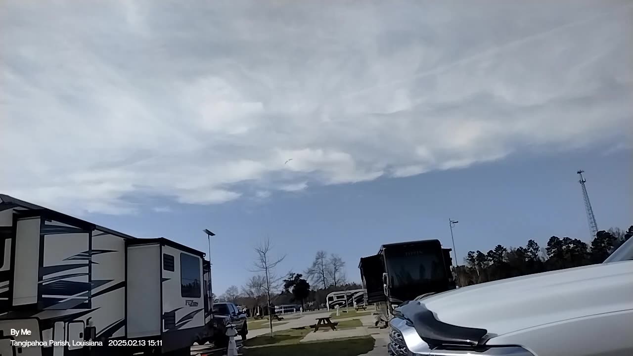 Some kite