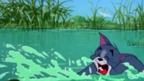 funny funny videos funny jokes funny animals funny memes funny movies funny bone funny pictures