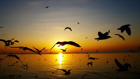 "Just one small positive thought in the morning can change your whole day."