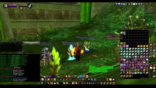 Turtle Wow - PUG ZG run - paladin POV - Tiger mount dropped