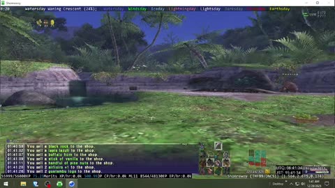 Playing Final Fantasy XI Online