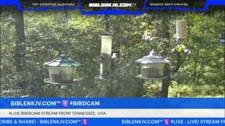 BIBLENKJV.COM™ 🛐 10/12/2025 #LIVE #WEATHER #KNOXVILLE