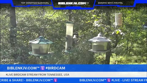 BIBLENKJV.COM™ 🛐 10/12/2025 #LIVE #WEATHER #KNOXVILLE