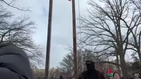 Pro-Palestine protesters Set up Guillotine During Anti-Trump protest at Capitol