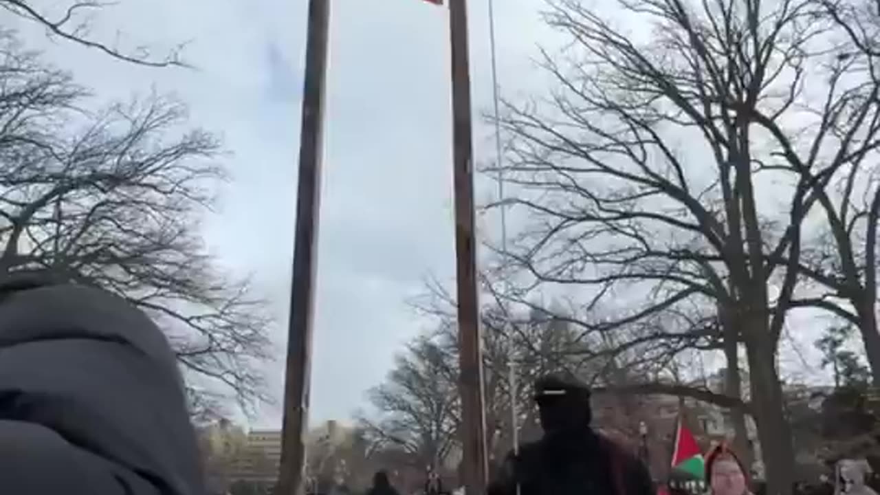 Pro-Palestine protesters Set up Guillotine During Anti-Trump protest at Capitol