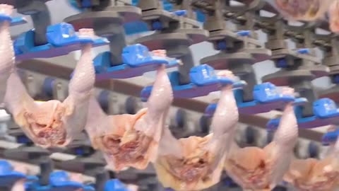 The DISGUSTING Truth About What's Really Inside Your Hot Dogs (Industry Doesn't Want You to Know)