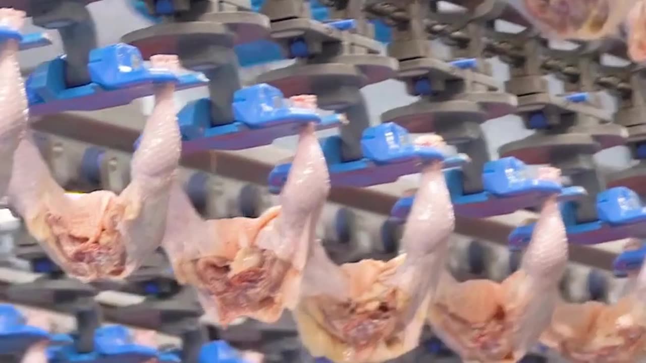 The DISGUSTING Truth About What's Really Inside Your Hot Dogs (Industry Doesn't Want You to Know)
