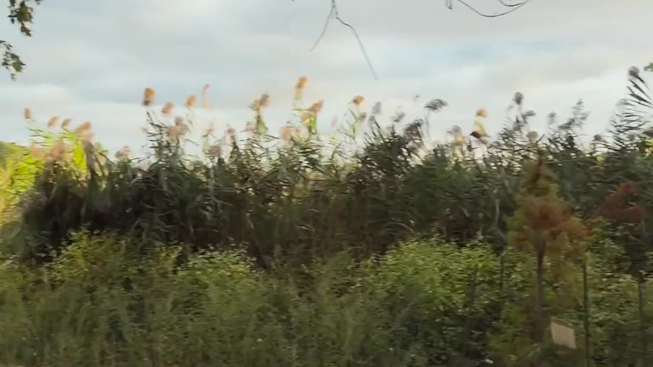 🤣🦜 Big Day Birdwatching Fail! | FunFM