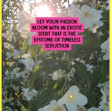 Imari Eau de Toilette by AVON