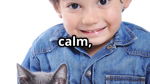 What Type of Cat Is Best to Live with Young Children?