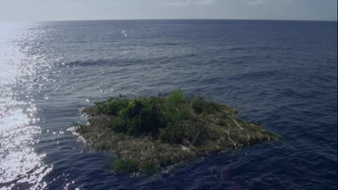 Juzny Pacifik-2 Stroskotanci