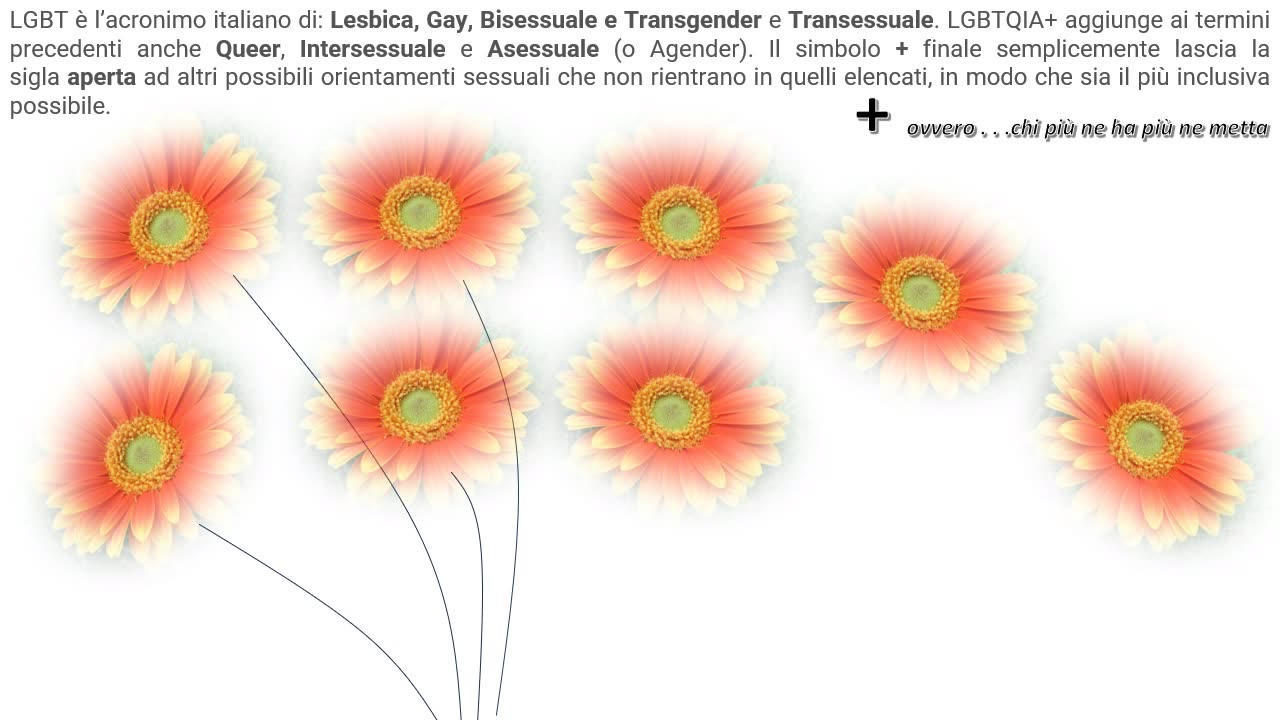 sulla base del fiore riflessioni e musiche