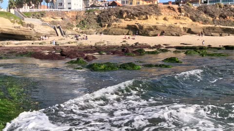 Unique place to be #ocean #reef #waves