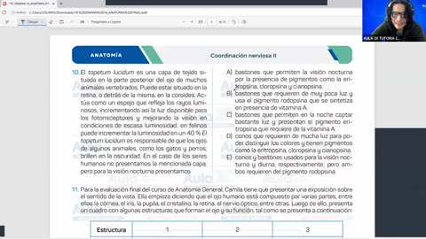 AULA 20 REGULAR 2026 - 1 | Semana 14 | Anatomía
