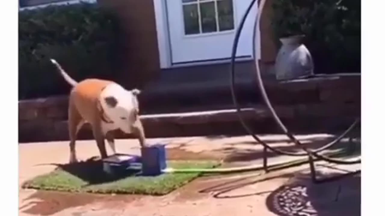 😂💧 Hydration: 0 - This Is Hilarious! | FunFM