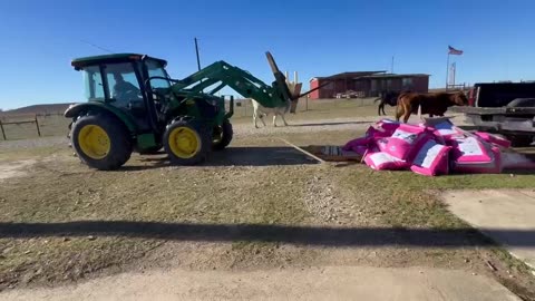 Pallet: 1, Tractor: 0