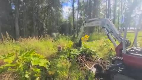 Offgrid Cabin Build In Rual Alaska pt 1 Ground Clearing w/ Mini Excvator