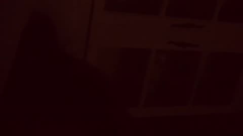 🔊👻 Some Noises I Heard in the Middle of the Night... What Do You Think It Is? | TheHauntingHour
